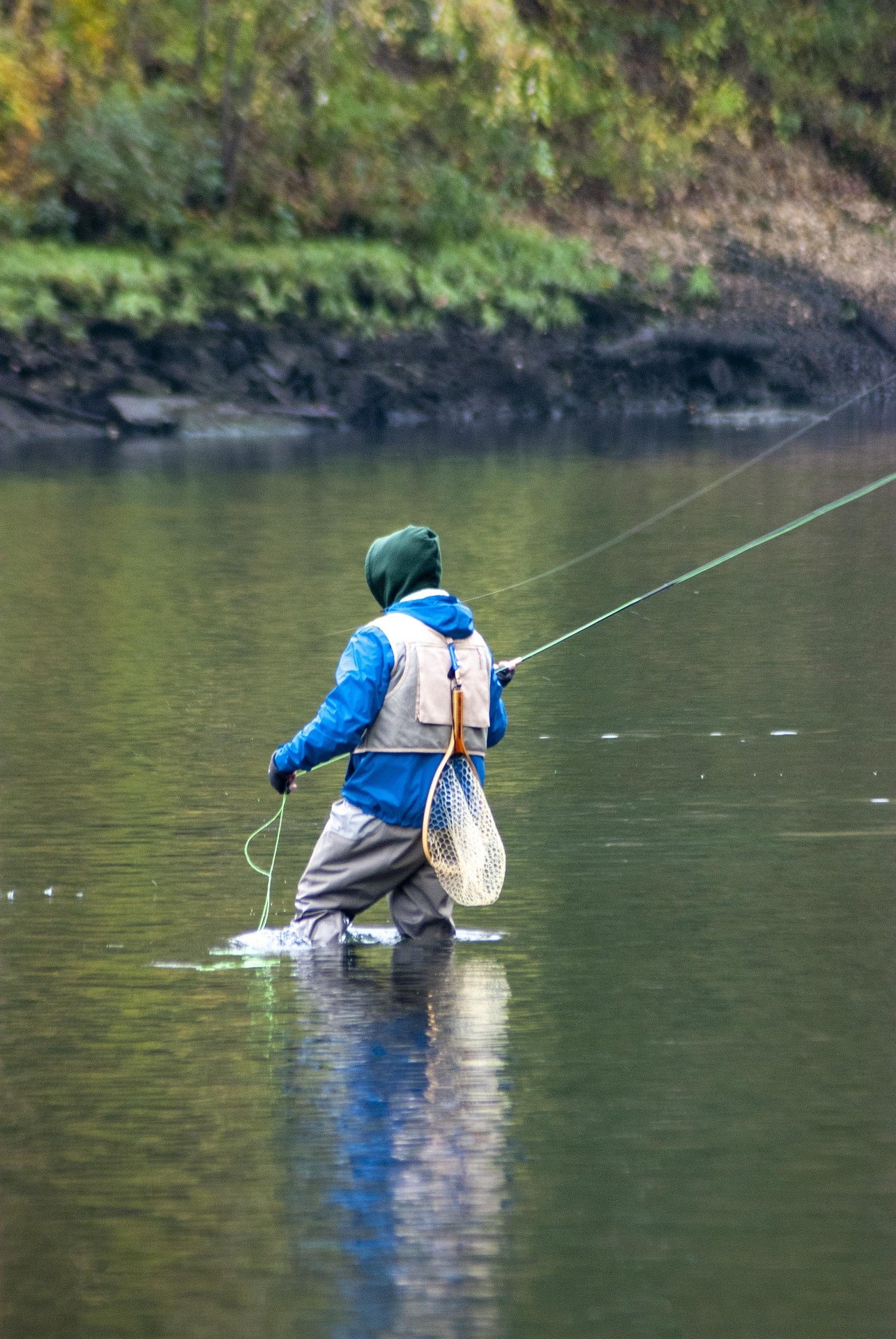 A person fly fishing in a river